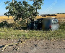 В районе станции Новосавицкая произошло серьёзное ДТП: 51-летний водитель госпитализирован