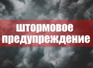 Штормовое предупреждение: меры предосторожности от ГУпЧС