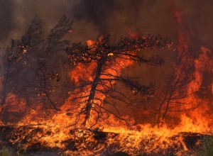 Обращение жителей Греции к правительству страны