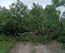 Последствия бури в Рыбницком районе: Выхватинцы борются с последствиями стихии