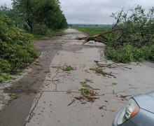 Последствия бури в Рыбницком районе: Выхватинцы борются с последствиями стихии