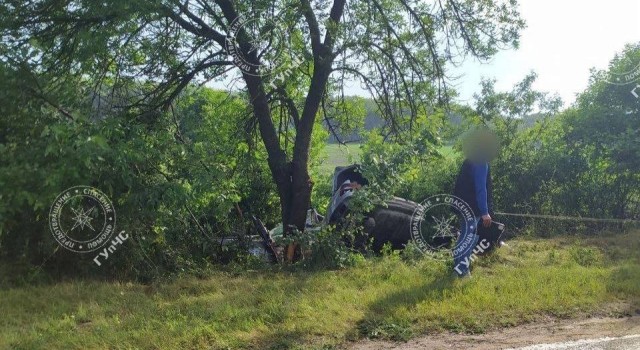 Серьёзная авария в Григориополе: Водитель BMW врезался в дерево на мокрой дороге