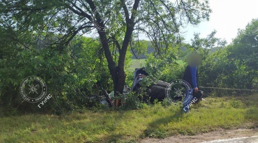 Серьёзная авария в Григориополе: Водитель BMW врезался в дерево на мокрой дороге