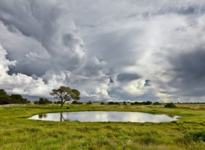 8 августа обещает местами дождь с грозой и до +23°С