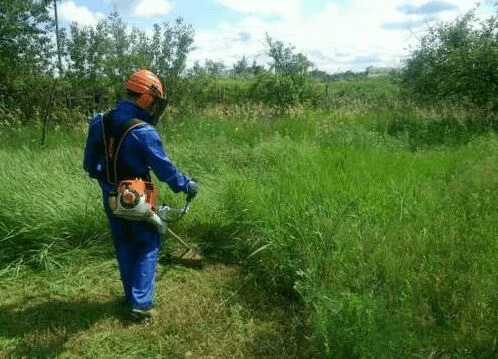 Покос травы в Тирасполе и ближайшие села